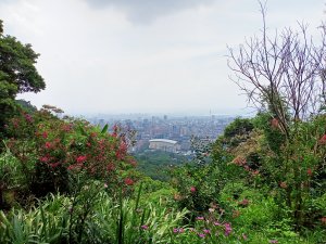 《暢遊天母翠峰瀑布、天母古道、下竹林山、玉稠湖山主峰&南峰》