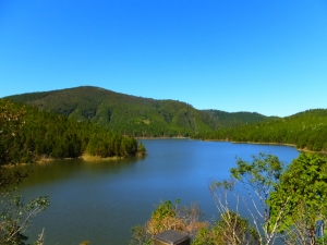 【湖景步道】 宜蘭太平山翠峰湖