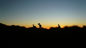 【山岳之美】能高安東軍七日晴