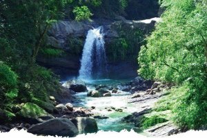 【新聞】大阿里山區清涼秘境－悠遊山泉步道，3座瀑布3倍清涼