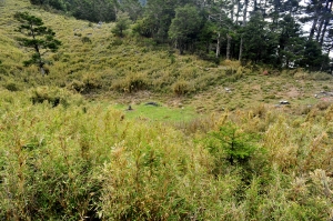 大南山西鞍營地