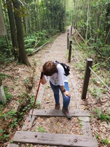 【南投| 後尖山】厭世階梯爬完一波又一波