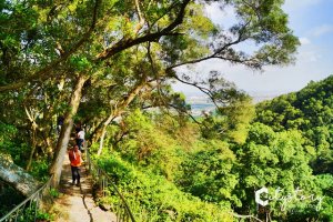 田中森林公園登山步道-森林芬多精健行路線-幼幼班路線