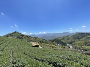 雲嘉七連峰-百岳練習場