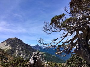 北ㄧ段-審馬陣-南湖北山-南湖北峰-南湖大山-南湖東峰