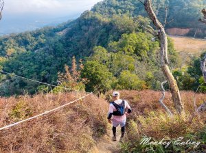 【苗栗三員縱走】熱門郊山縱走路線，欣賞國道風光，搭火車就可以來爬山！