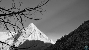 太平洋屋脊步道 散文 Langille Peak