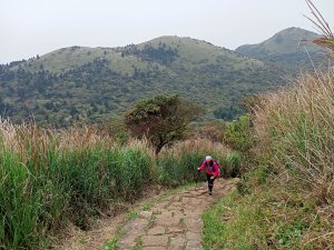 【走遍陽明山、臺北大縱走 2、小百岳集起來】二子坪→面天坪→大屯西、南、主、北峰連走→鞍部→二子坪