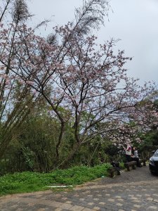 臺北大縱走第四段：風櫃口至中華科技大學