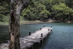 2020-4-15新山夢湖