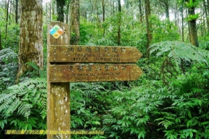 大礁溪山登山步道