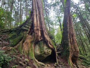 二萬坪山、二萬坪森林步道