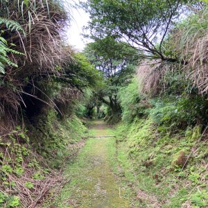 擎天崗停車場→金包里大路→上磺溪停車場→金包里大路→擎天崗環形步道→竹篙山→擎天崗停車場