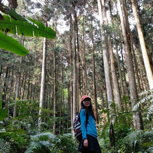 看看灰灰的個人專頁