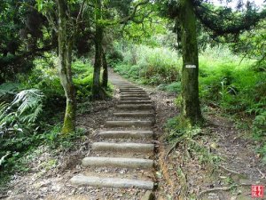 【基隆】姜子寮山步道(整修後)