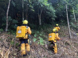 【新聞】時至冬令乾燥季節在地攜手合作護山林 臺東林管處知本工作站與社區合辦森林防火演練