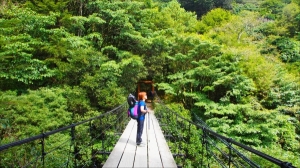 奇萊山★登山記(1) ~ 能力高，走完能高越嶺古道