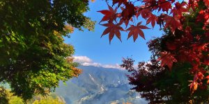 梨山秘境楓之谷1956秘密花園