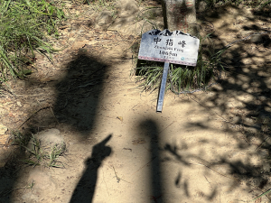 連假爬山真輕鬆 part 2