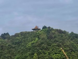 雨後，五分之美，十分愜意