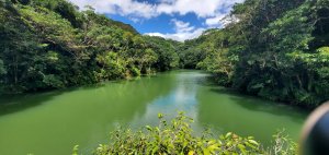 2024-10-19臺北大縱走第四段：風櫃口至大湖公園