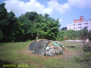 探勘彰化市至鹿港「彰142(彰鹿路)」周遭「湳尾」等平地基石