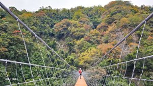【霞喀羅國家步道】百大最美必訪步道，白石吊橋夢幻楓紅季節-養老登山口