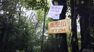 三峽熊空山、竹坑山、茶園及野營地賞櫻花-20200223