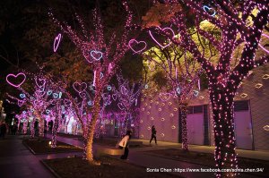 Pink Christmas  2025 D1215 「微風告白大道」 歐式聖誕夢境