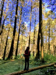 看看Chen Patti的個人專頁