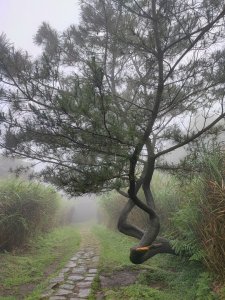 絹絲瀑布步道-踢不爛大地遊戲