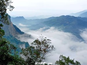 【苗栗。大湖】喜見雲海。 小百岳集起來。 編號37小百岳馬那邦山