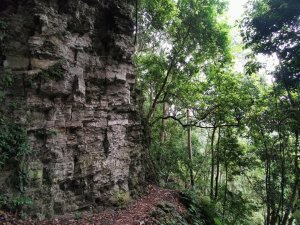 步道巡訪員 l 鳥嘴山步道 4 月巡訪日誌