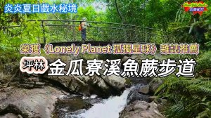 炎炎夏日戲水秘境 榮獲《Lonely Planet孤獨星球》雜誌推薦 坪林金瓜寮魚蕨步道