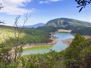 《溫泉步道小旅行》走進夢幻的翠峰湖環山步道