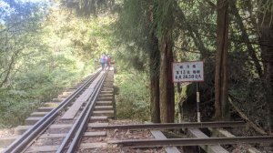 【嘉義｜南投】新阿溪縱走｜阿里山眠月線｜水漾森林｜兩天一夜