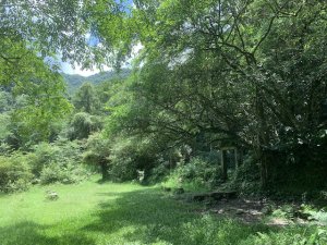 崩山坑古道、中坑古道