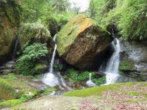 豐阿O縱 之 石夢谷~石猴車站