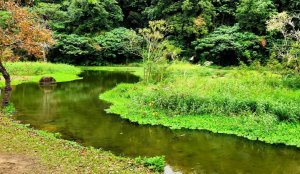 大溪壽山，娘子坑山，月眉濕地生態公園，山豬湖生態親水園區，李騰芳古宅