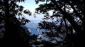 八仙山國家森林步道 2016 12 10