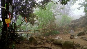 【小百岳集起來】#019 花木扶疏、奇岩怪石的鳶山登山步道