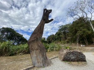 《雪山坑登山步道｜巨人之手森林秘境 Xueshankeng Hiking Trail & Giant