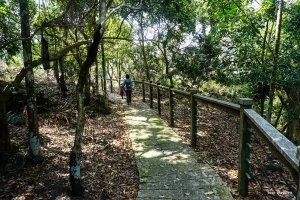 【嘉義】塘湖古道、塘湖山