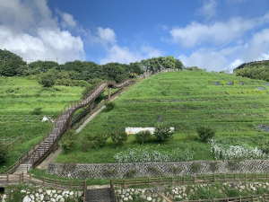 溪山百年古圳步道、鵝尾山水田