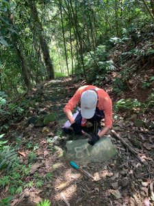 [新竹北埔]重回千段崎古道-4(踏查完結篇)