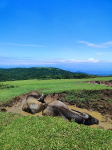 2025台北大縱走二刷