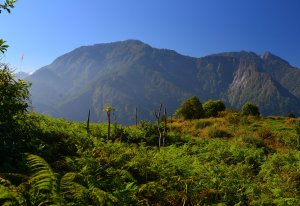 江口山登山步道