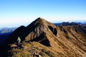 冬季重返次高山~與名樹有約(上)