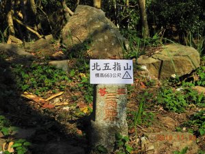 新竹 竹東 北五指山