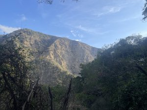 二訪里龍山巧遇瀕危穿山甲